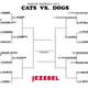 Illustration for article titled Cats vs. Dogs: Your Last Chance To Determine The Elite Eight